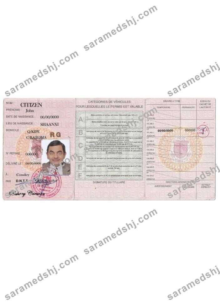 Guinea driving license